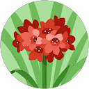 jasel profile picture
